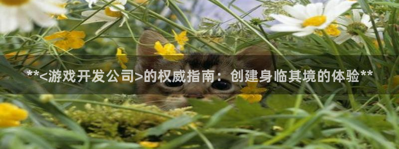 沐鸣娱乐2输钱了
