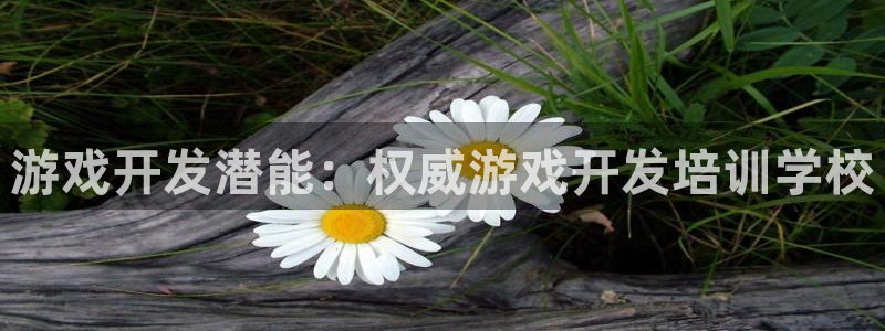 沐鸣2注册说来77542