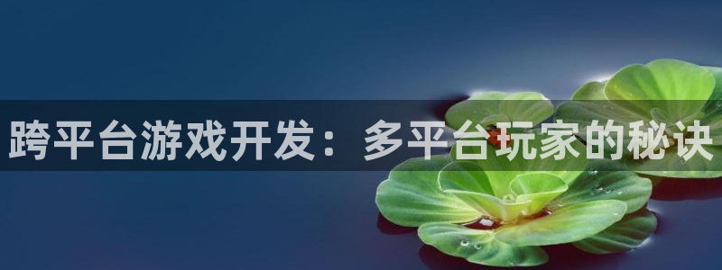 沐鸣2开户地址