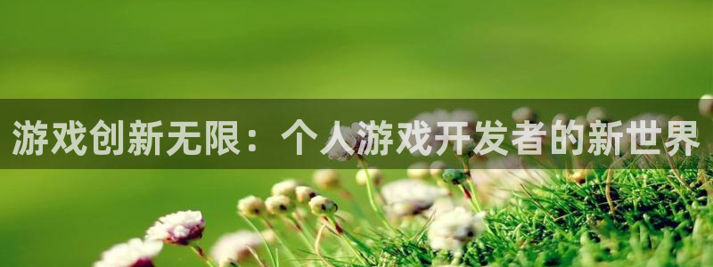 沐鸣娱乐2登录平台是什么软件：游戏创新无限：个人游戏开发者的新世界