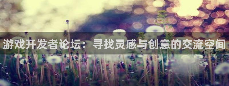 沐鸣娱乐2登陆不上怎么办：游戏开发者论坛：寻找灵感与创意的交流空间