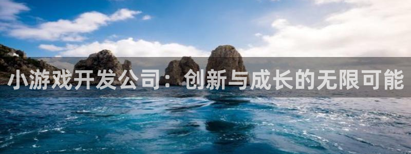 沐鸣娱乐2返点：小游戏开发公司：创新与成长的无限可能
