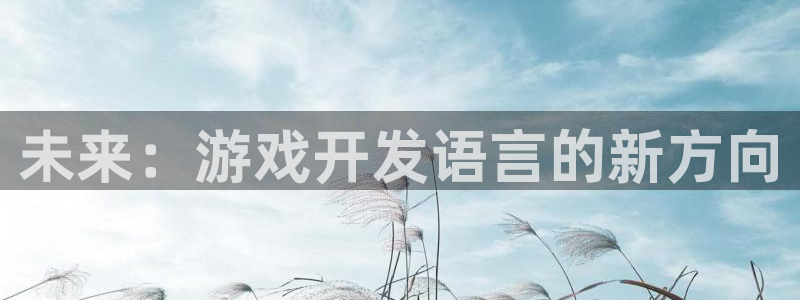 沐鸣娱乐2怎么样：未来：游戏开发语言的新方向