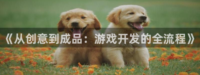 沐鸣娱乐2如何找回密码：《从创意到成品：游戏开发的全流程》