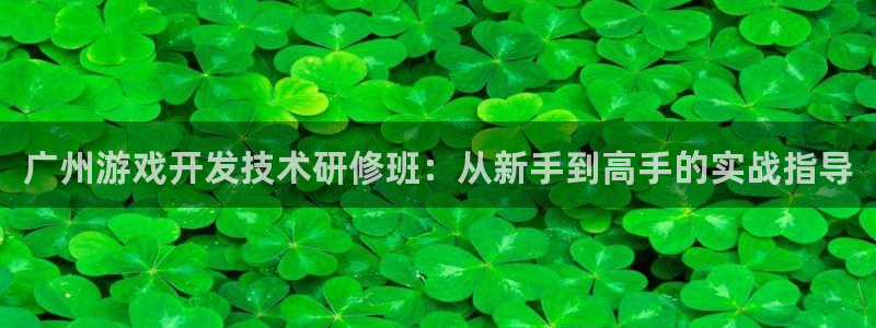 沐鸣娱乐2官方：广州游戏开发技术研修班：从新手到高手的实战指导