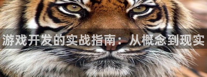 沐鸣娱乐2客服：游戏开发的实战指南：从概念到现实