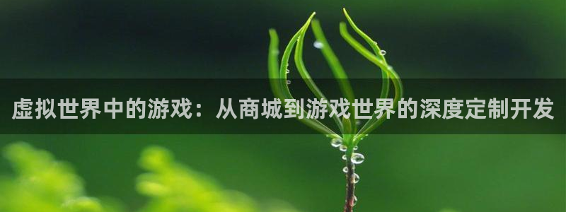 沐鸣2娱乐登录测速：虚拟世界中的游戏：从商城到游戏世界的深度定制开发