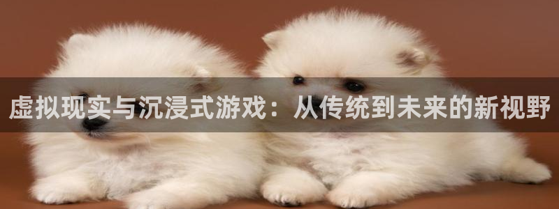 沐鸣娱乐2官网网址是多少：虚拟现实与沉浸式游戏：从传统到未来的新视野