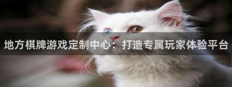 沐鸣娱乐2代理：地方棋牌游戏定制中心：打造专属玩家体验平台