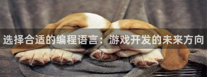 沐鸣娱乐2官方：选择合适的编程语言：游戏开发的未来方向