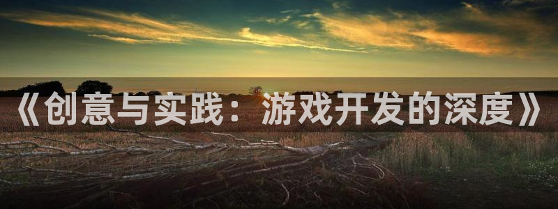 沐鸣娱乐2可靠吗：《创意与实践：游戏开发的深度》