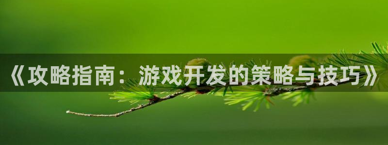 沐鸣2平台开户：《攻略指南：游戏开发的策略与技巧》