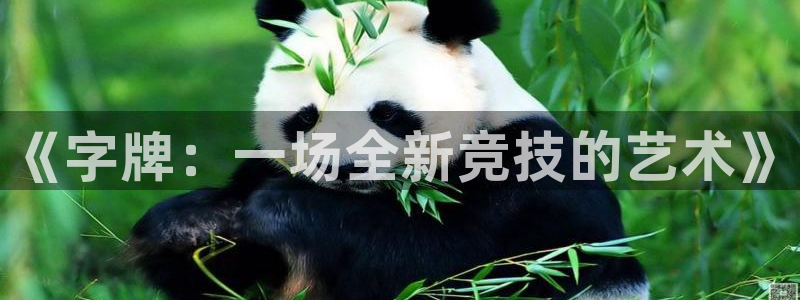 沐鸣2平台注册流程：《字牌：一场全新竞技的艺术》