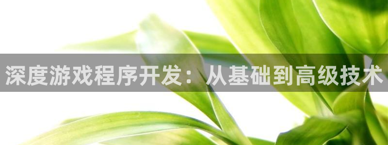 沐鸣娱乐2注册地址：深度游戏程序开发：从基础到高级技术