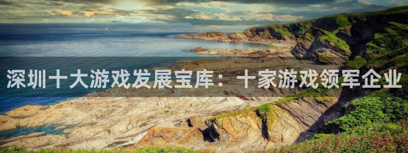 沐鸣2注册登录下载：深圳十大游戏发展宝库：十家游戏领军企业