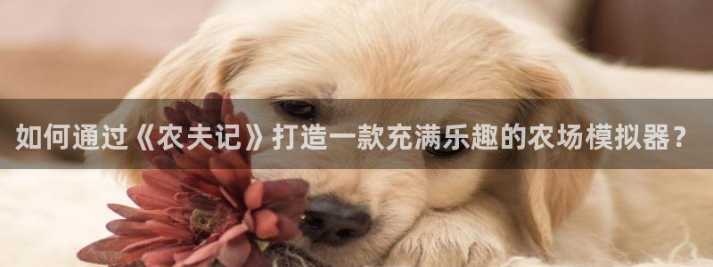 沐鸣2平台官网登录