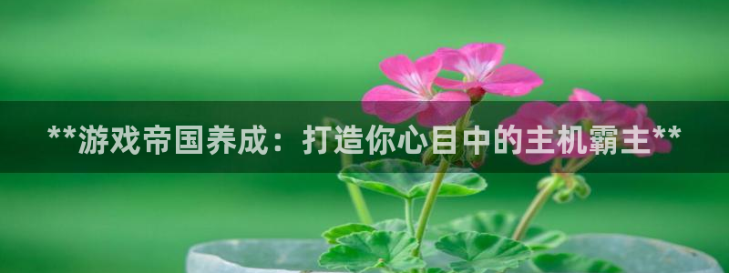 沐鸣2平台官网
