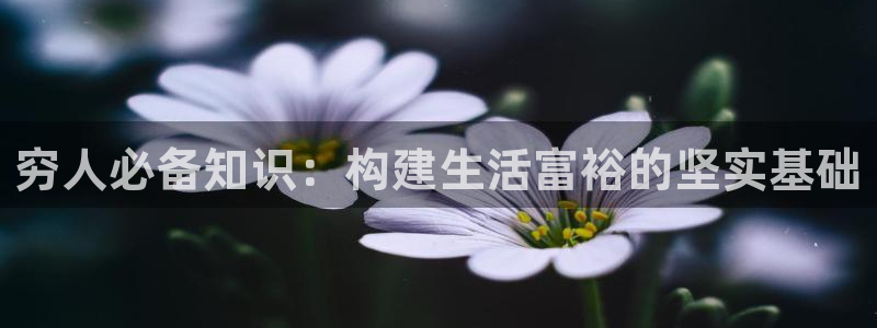 查理九世话本小说：穷人必备知识：构建生活富裕的坚实基础