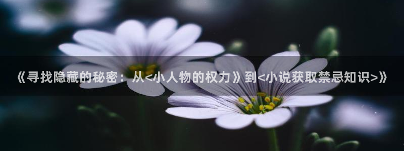 话本小说免费破解版无广告：《寻找隐藏的秘密：从<小人物的权力》到<小说获取禁忌知识>》