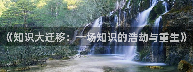 维将话本小说：《知识大迁移：一场知识的浩劫与重生》